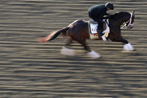 preakness 80000 bet